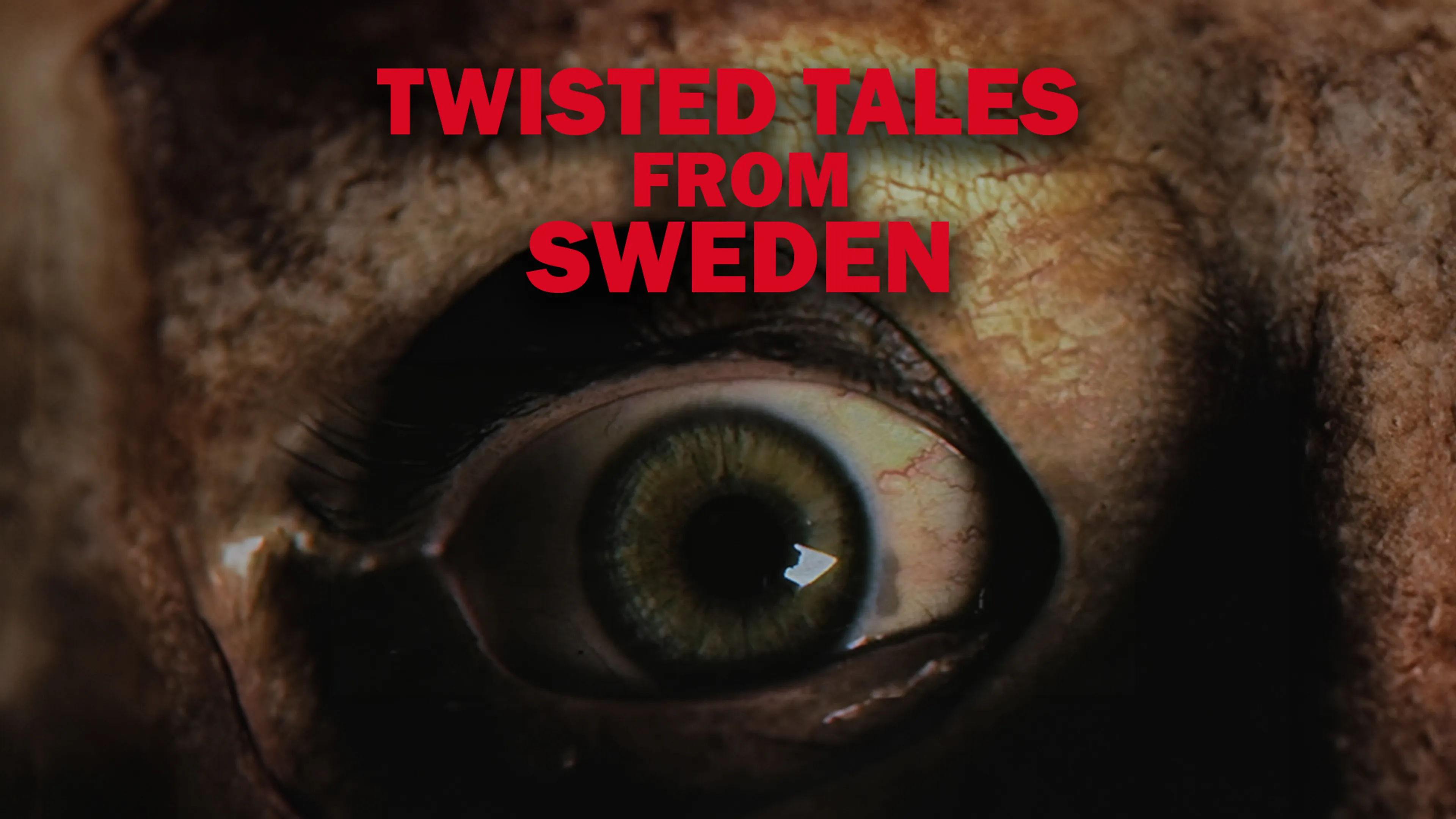 Twisted Tales from Sweden: A VHS Nightmare poster